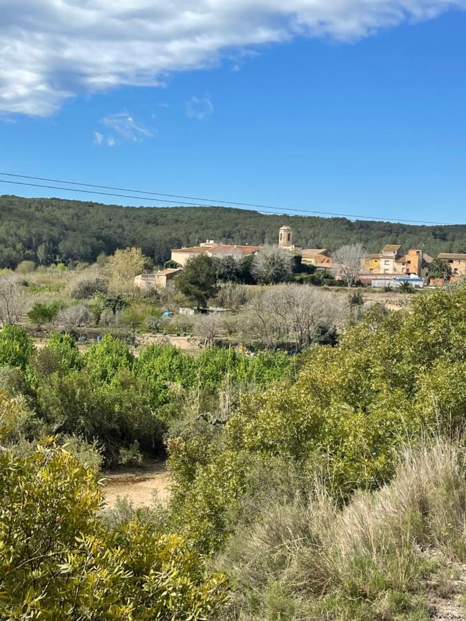 Casa Rural Con Jardin,A 8Km Playa Y En La Naturaleza Taronja&Canyella Ardenya Zewnętrze zdjęcie