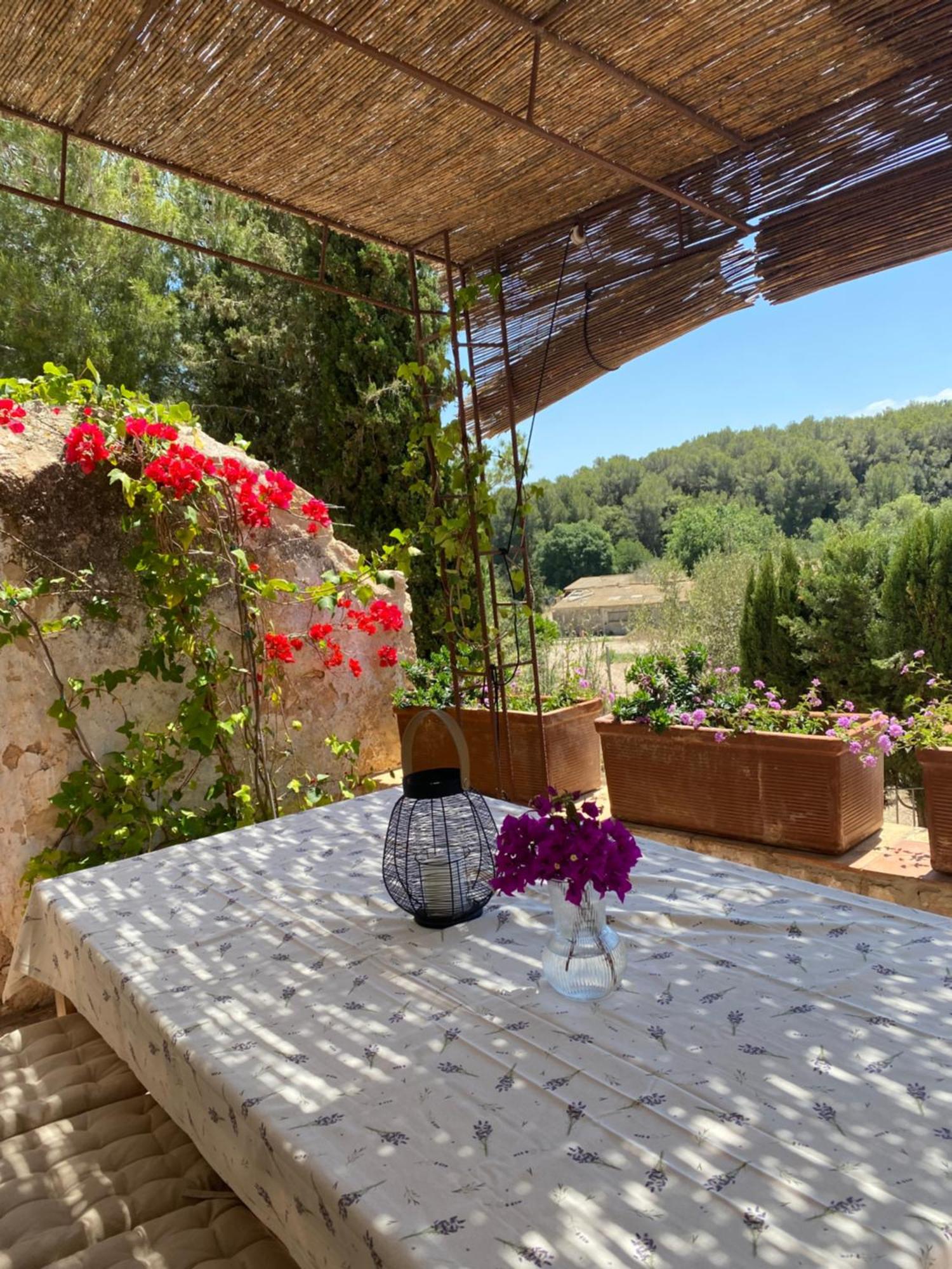 Casa Rural Con Jardin,A 8Km Playa Y En La Naturaleza Taronja&Canyella Ardenya Zewnętrze zdjęcie