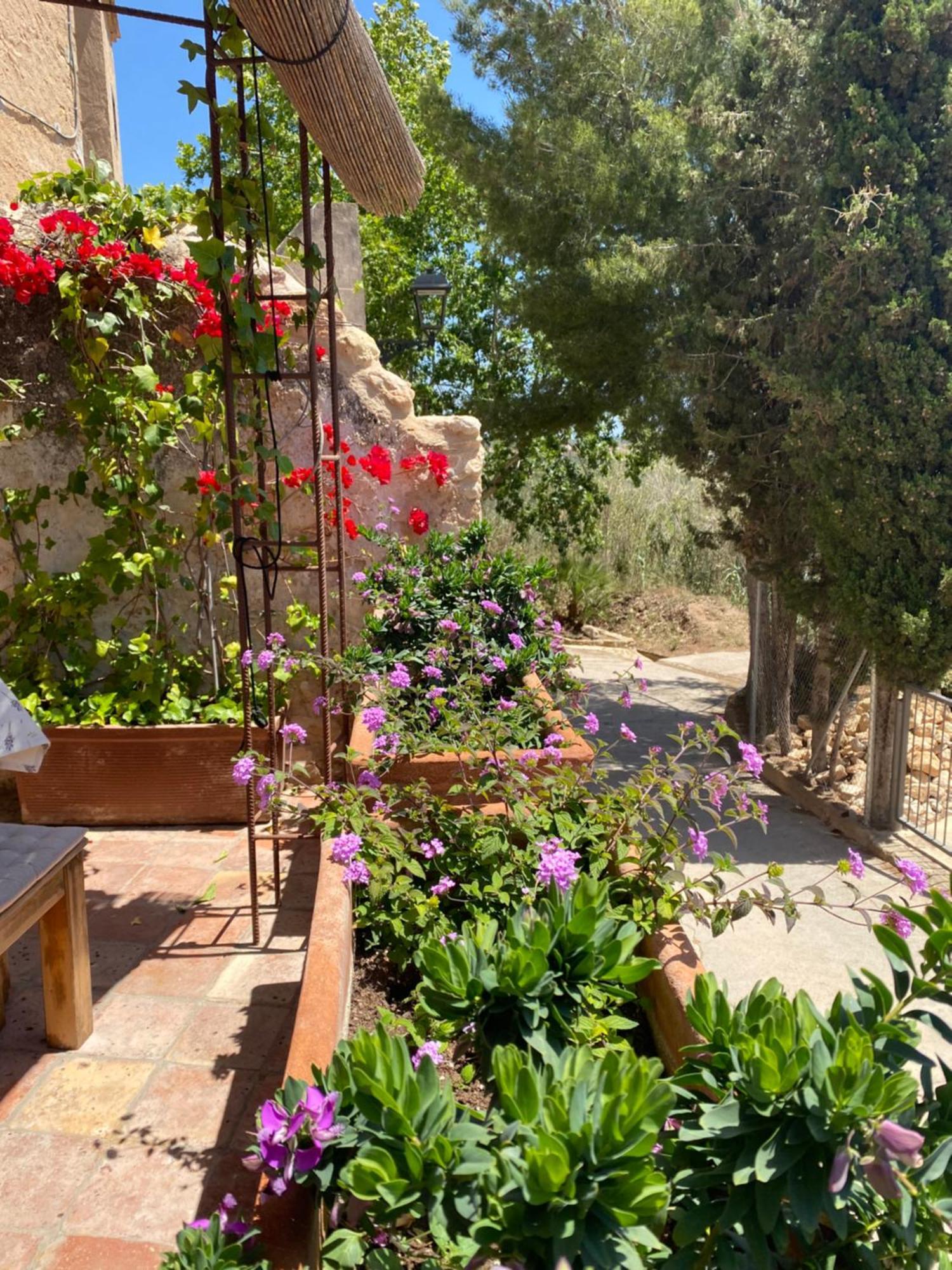 Casa Rural Con Jardin,A 8Km Playa Y En La Naturaleza Taronja&Canyella Ardenya Zewnętrze zdjęcie